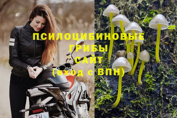 соль курить ск Белокуриха